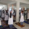 Yoga Program